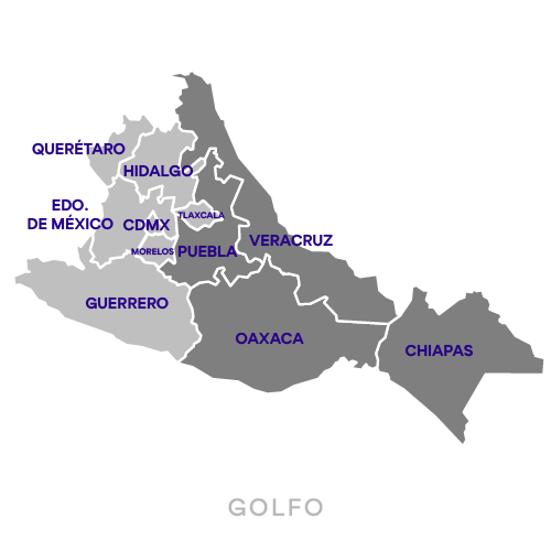 Mapa de la región asignada a Patricia Silva